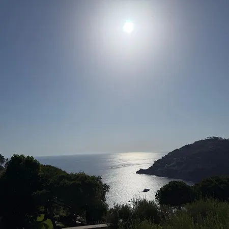 Blu Bonassola