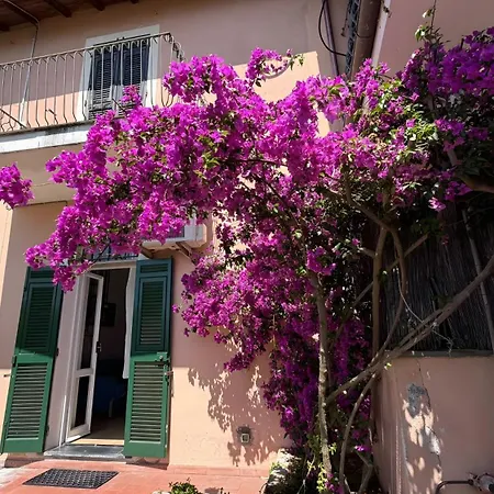 Apartmán Blu Bonassola